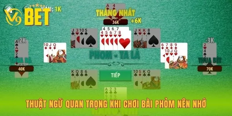 thuat-ngu-quan-trong-khi-choi-bai-phom-nen-nho